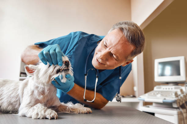 Best Emergency Root Canal Treatment in Palmview, TX